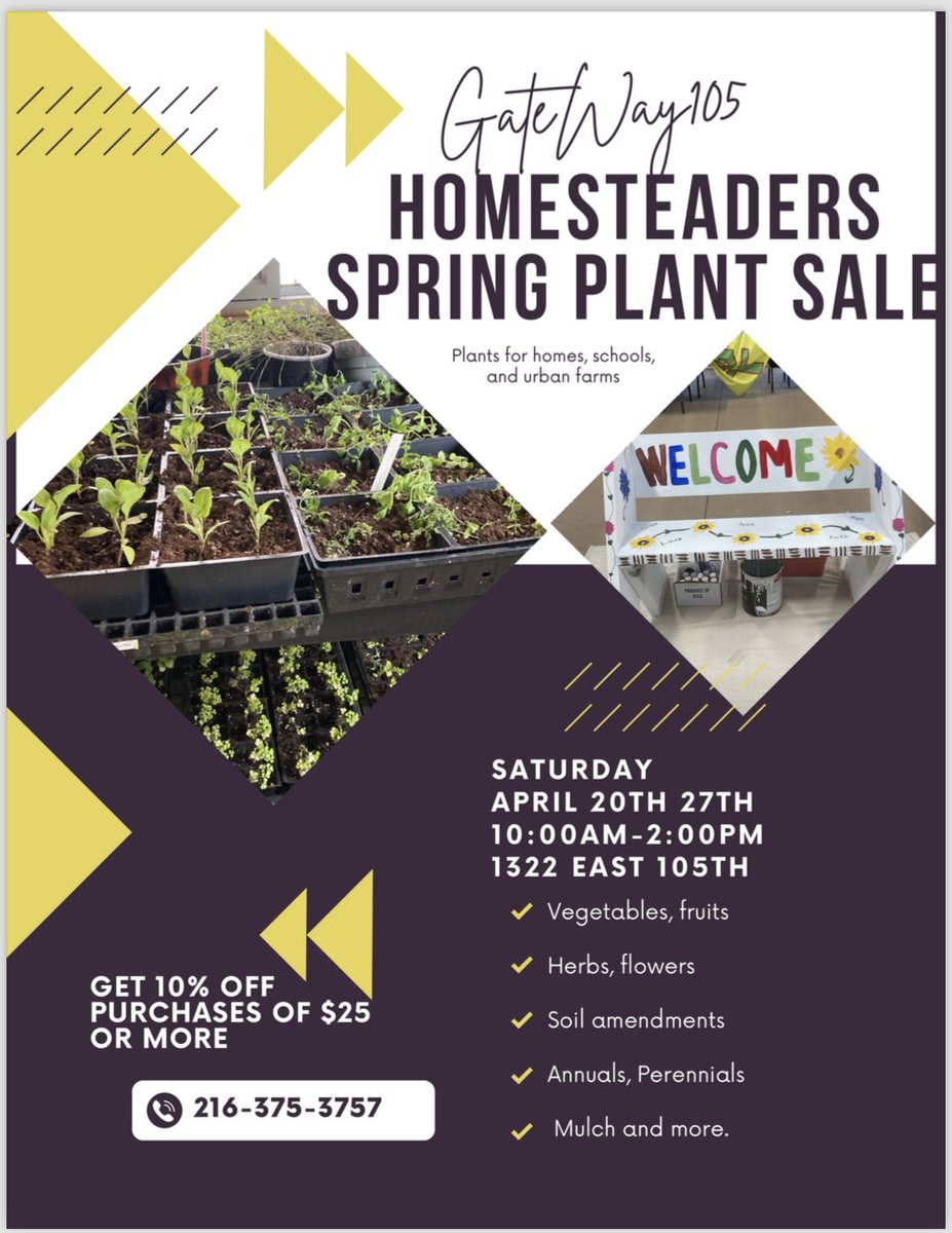 Studio Gardens LTD tweet media