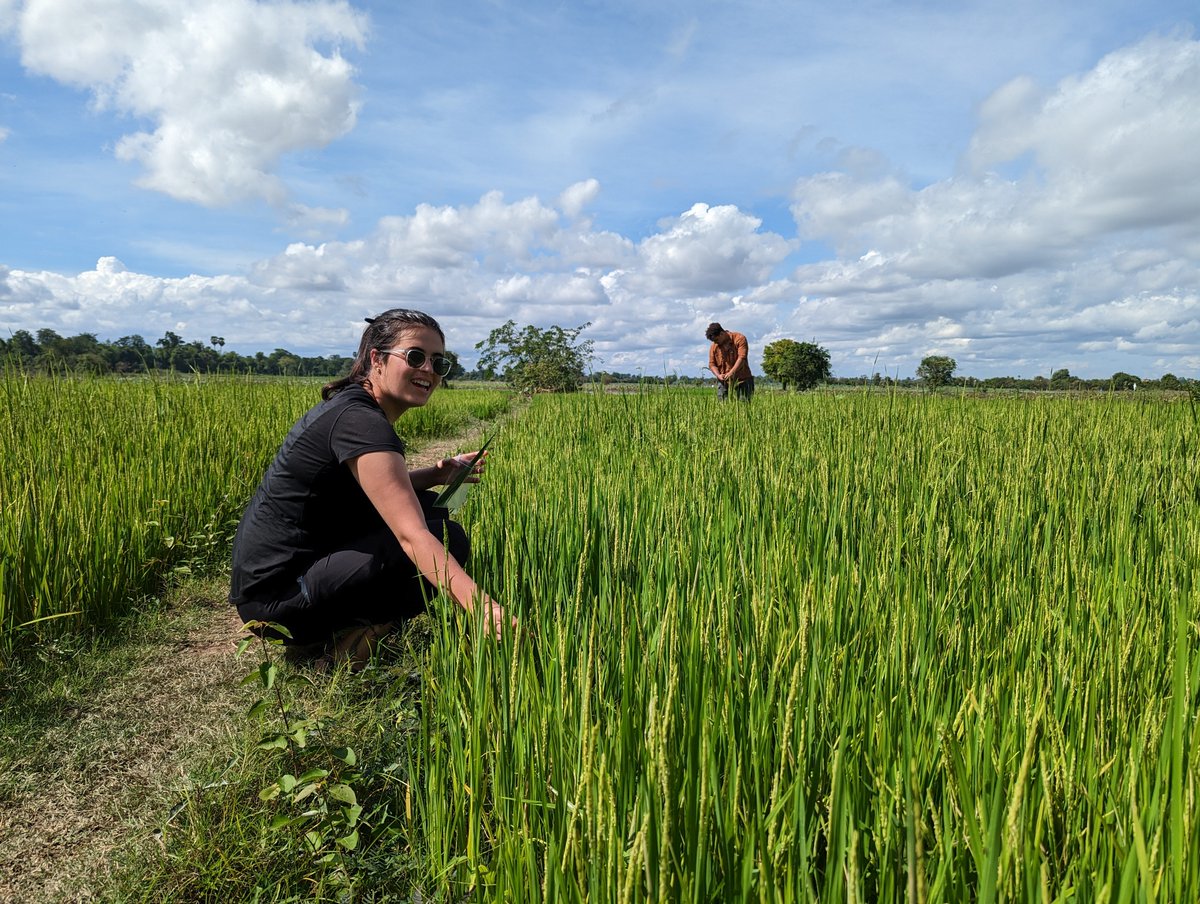 Happy #EarthMonth! This #ColumbiaBeautifulPlanet 📷 features team studying chemistry of rice paddy soils and effects of climate variability on nutrition in Cambodia by @Bostick_Lab, @LamontEarth. Share yours! For more #EarthDay photos and resources, visit: earthday.columbia.edu