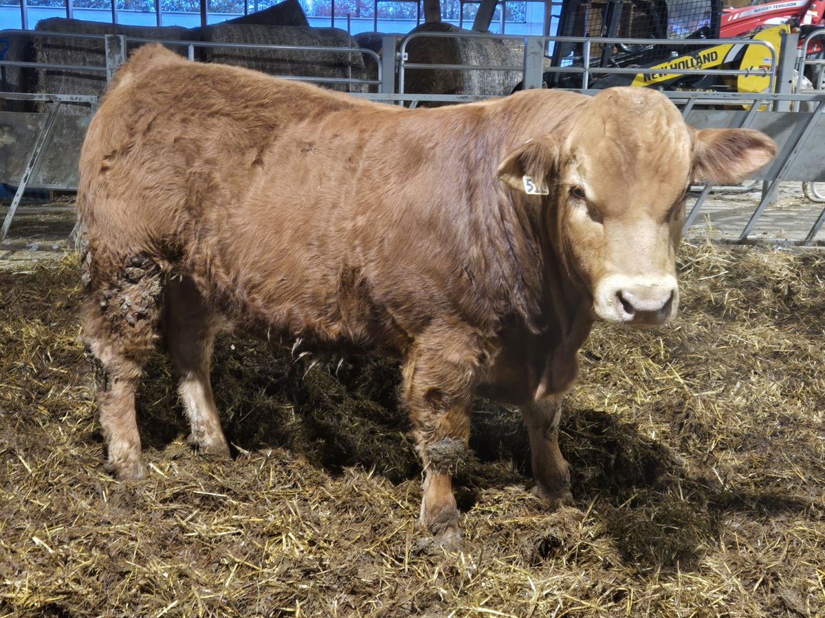 Mary Lynn Lawrence tweet media