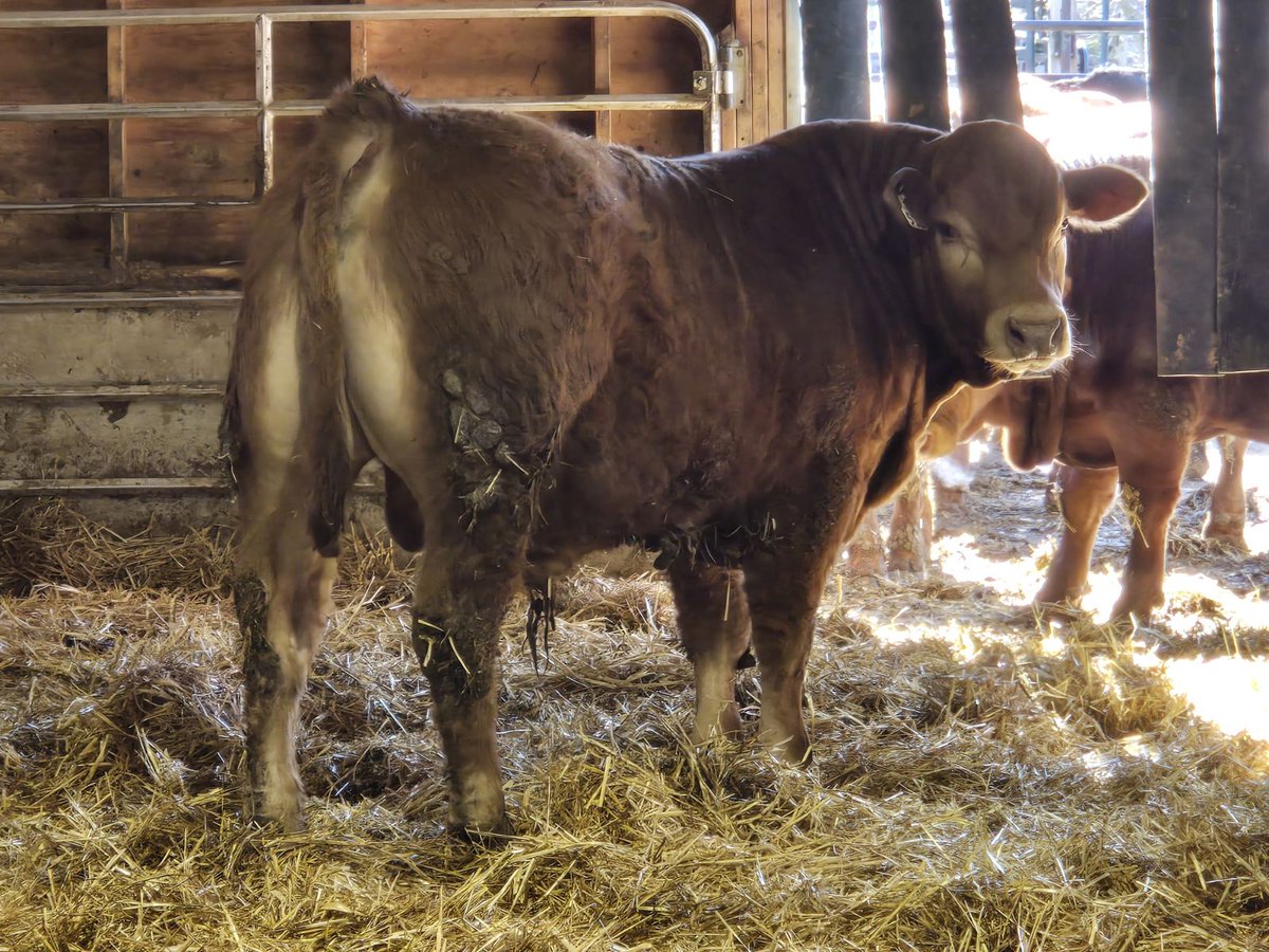 Mary Lynn Lawrence tweet media