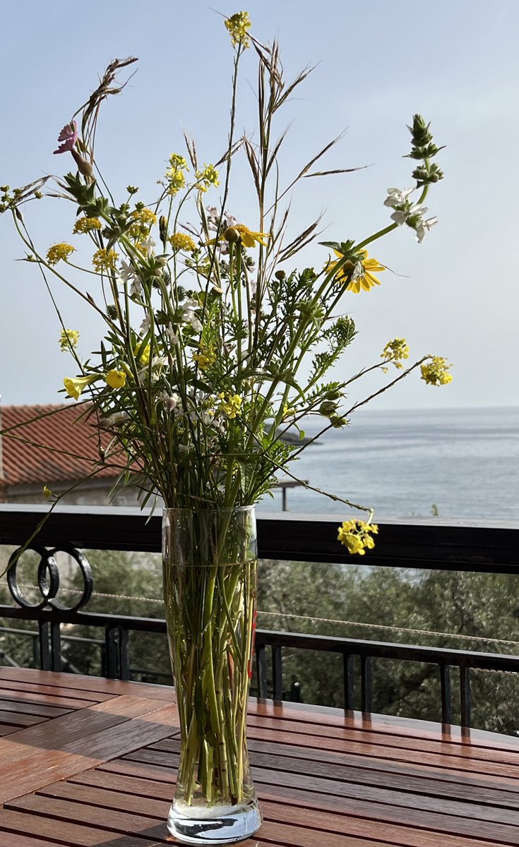 Voorjaar in #griekenland zelfs de notoire koffiedrinkers op het terrasje riepen ‘poly orea’ en nee niet naar mij 😀😉 maar naar deze bos 🇬🇷🌼 😀