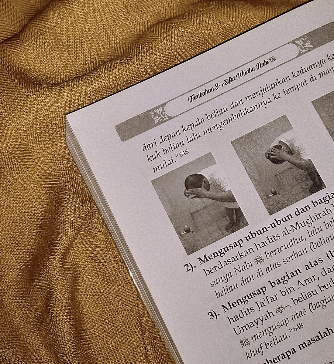 ❀ 𝑺𝒉𝒐𝒇𝒊𝒚𝒚𝒂𝒉 ❜ tweet media