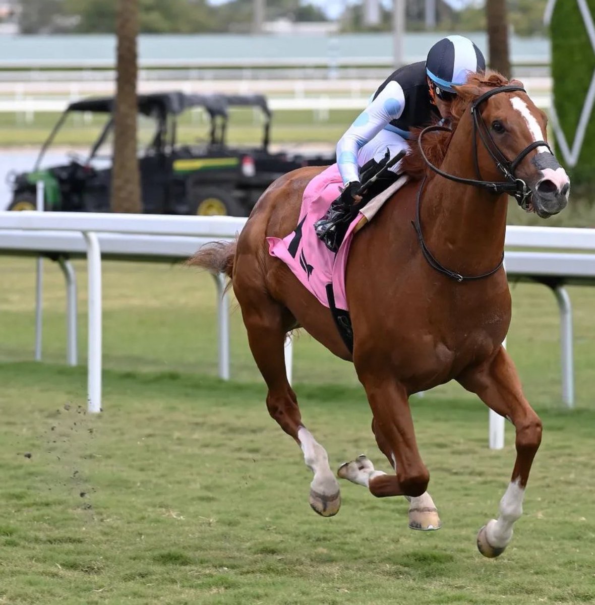 🏆 SET (Emisael Jaramillo - Mark Casse) CUTLER BAY STAKES 2024 ($125,000) Gulfstream Park @GulfstreamPark @JaramilloJockey @markecasse @EclipseTBP @nytbreeders @1stbet 📷 @coglianesephoto