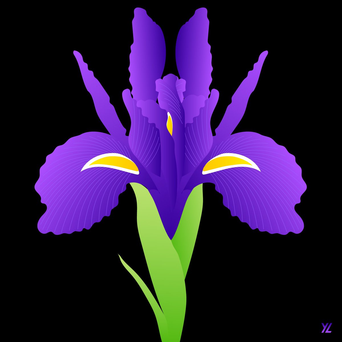 ❤️🩷💙💜🤔 Did you know, in Greek, iris means rainbow 🌈? Many people believe these flowers ended up with the name iris due to the color variation of their blooms. Each color of Iris carries different meanings: linkedin.com/posts/yiyinglu…