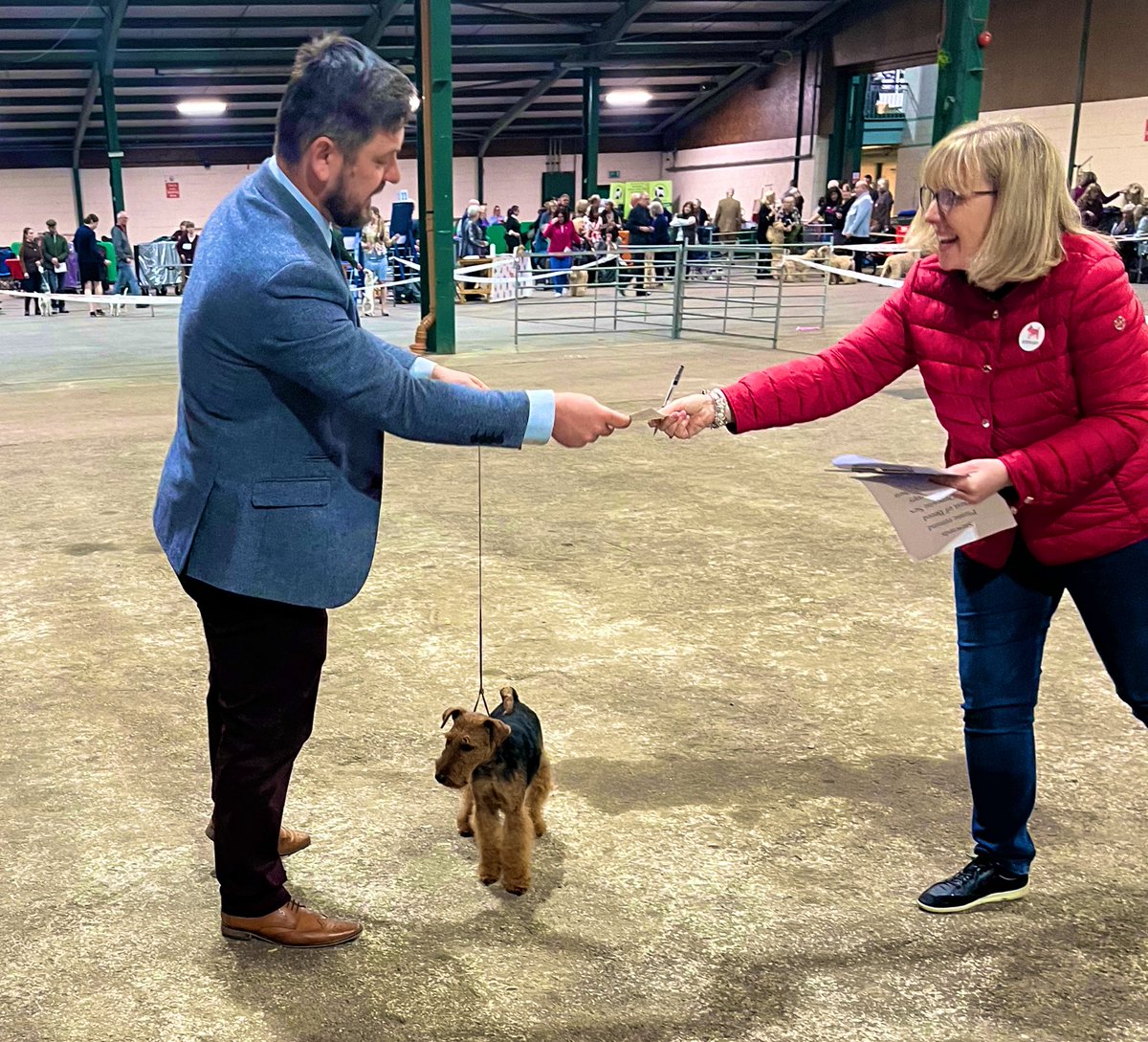 Nigel and Bonnie both won their classes today at National Terrier. To be fair, Bonnie was more interested in the shenanigans going on outside of the ring 🤣