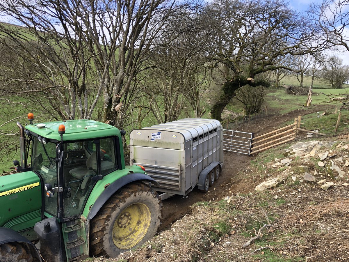 Am I the only idiot turning cattle out with #StormKathleen in the forecast? #grasstobeef at last <a href="/precisionsarah/">Sarah Morgan</a> 🤞☀️one day