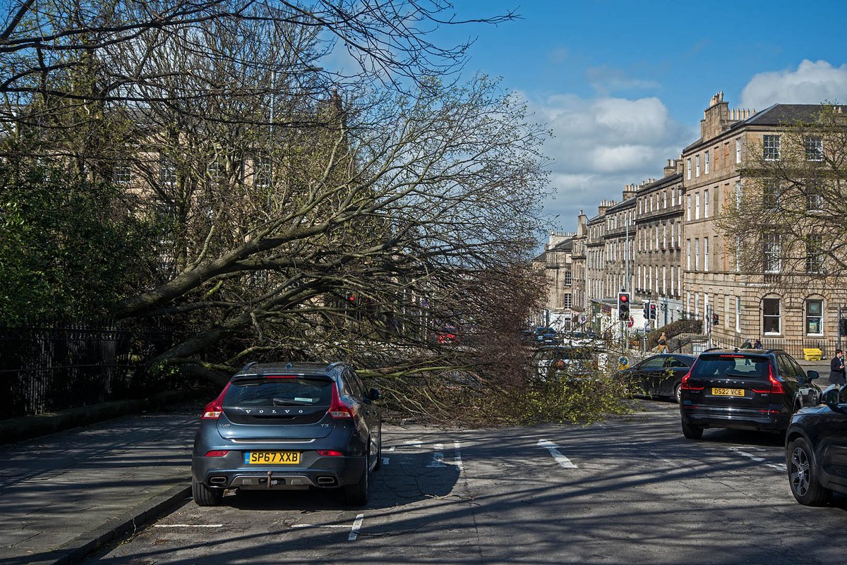 Fallen tree on Dundas Street! #NewTown #Edinbburgh