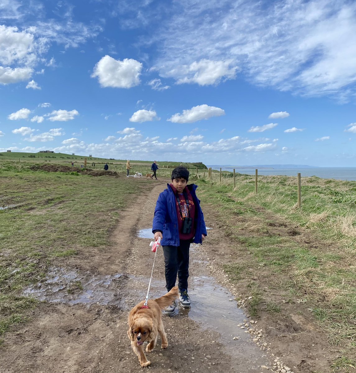 Birds r making their way to @Bempton_Cliffs to nest and breed. I am having an amazing time with my REX 💚🤩. @Natures_Voice @RSPBEngland @_BTO @RummeryPoppy