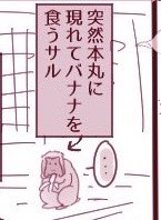 導入なんてこんなもんでいいんだよ!!!!!!! 