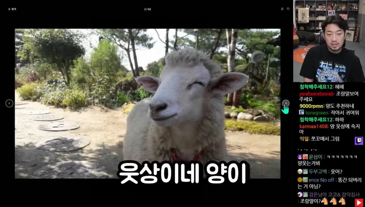 rocapublica's tweet photo. 웃상이네 양이 https://t.co/j3Xf9Tl989