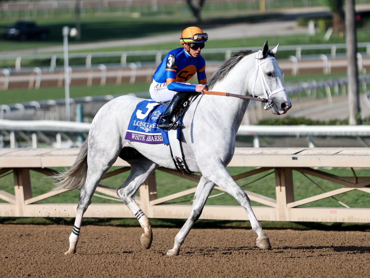 Breeders Cup Classic Champ WHITE ABARRIO back on the work tab this morning with an easy 4F 47.47 5/108 at Belmont Park for @C2RacingStable and @RickDutrow59.