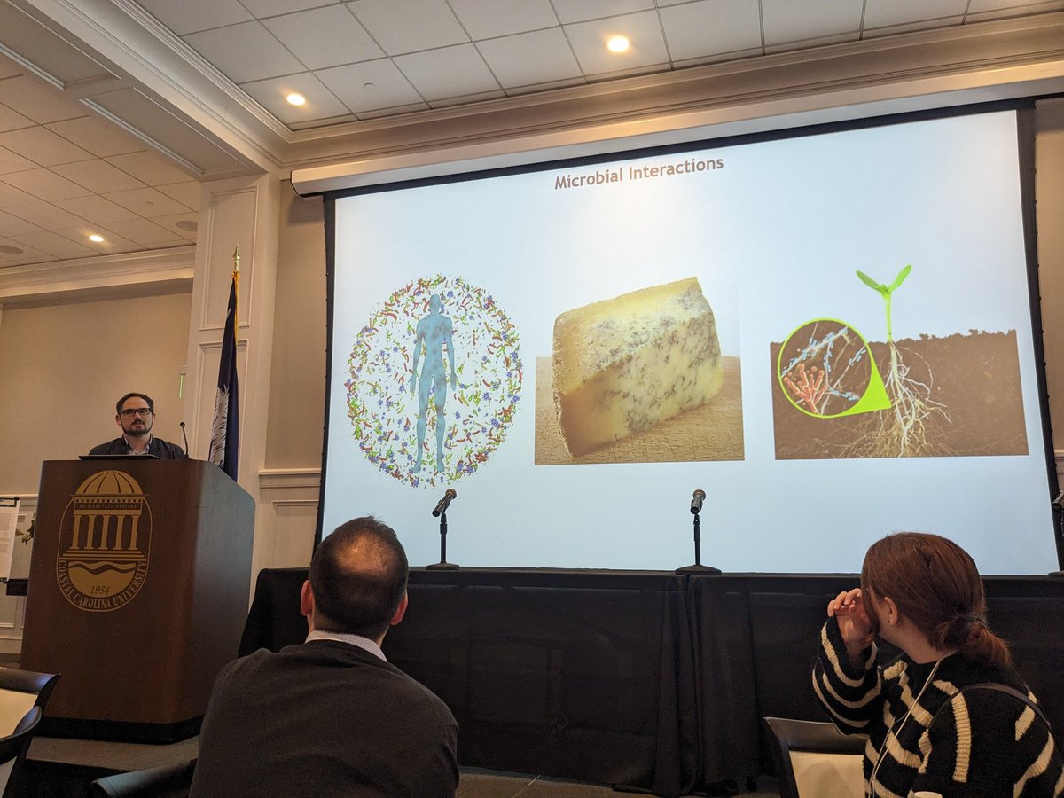 DrGrier's tweet photo. Happy to be at #SCASMSpring2024.  @StephenKDolan dazzled us all with insights about Aspergillus and Pseudomonas interactions. https://t.co/l9LijwrSCi