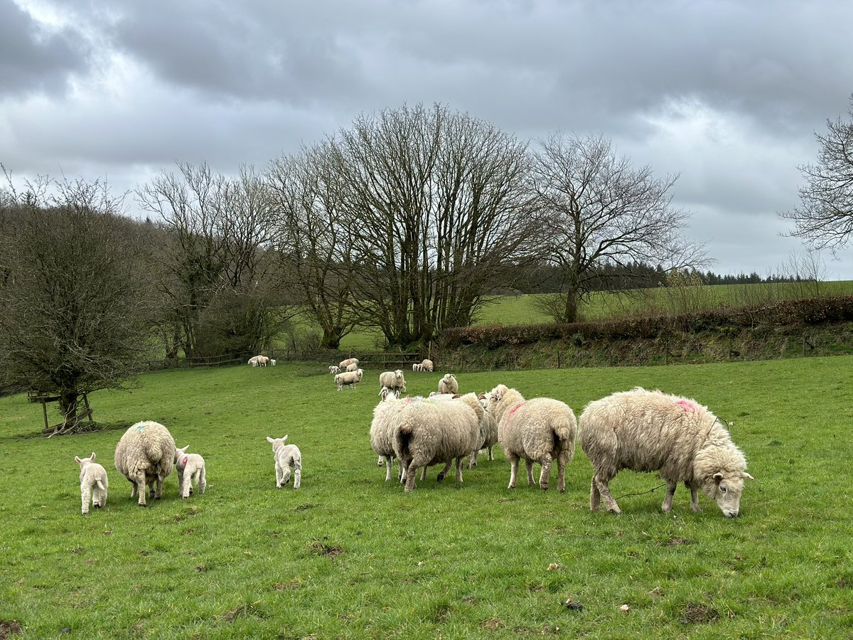 Is this not the best time of year? Could do without the wind and rain though