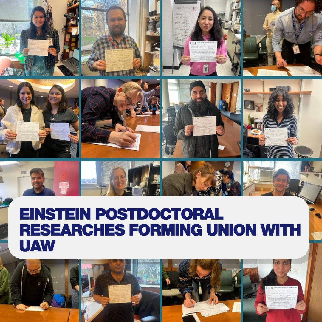 Postdoctoral researchers at Albert Einstein College of Medicine have signed up more than 80% of coworkers on authorization cards, expressing support for forming a union with the @UAW. Read more: nycclc.org/news/2024-04/e…