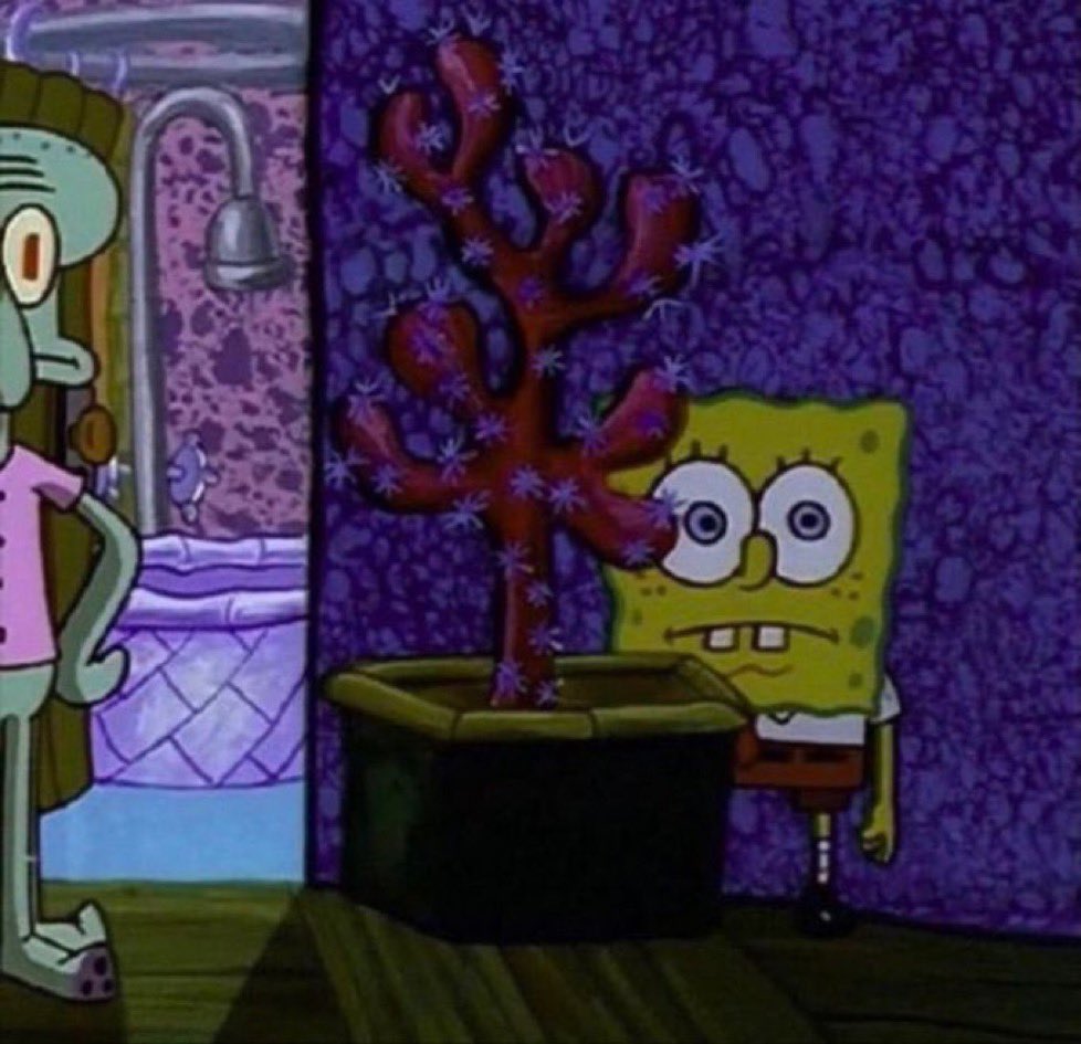 AkaBugsB's tweet image. El gobierno buscando más soldados para la guerra contra Ecuador // Yo sin cartilla militar