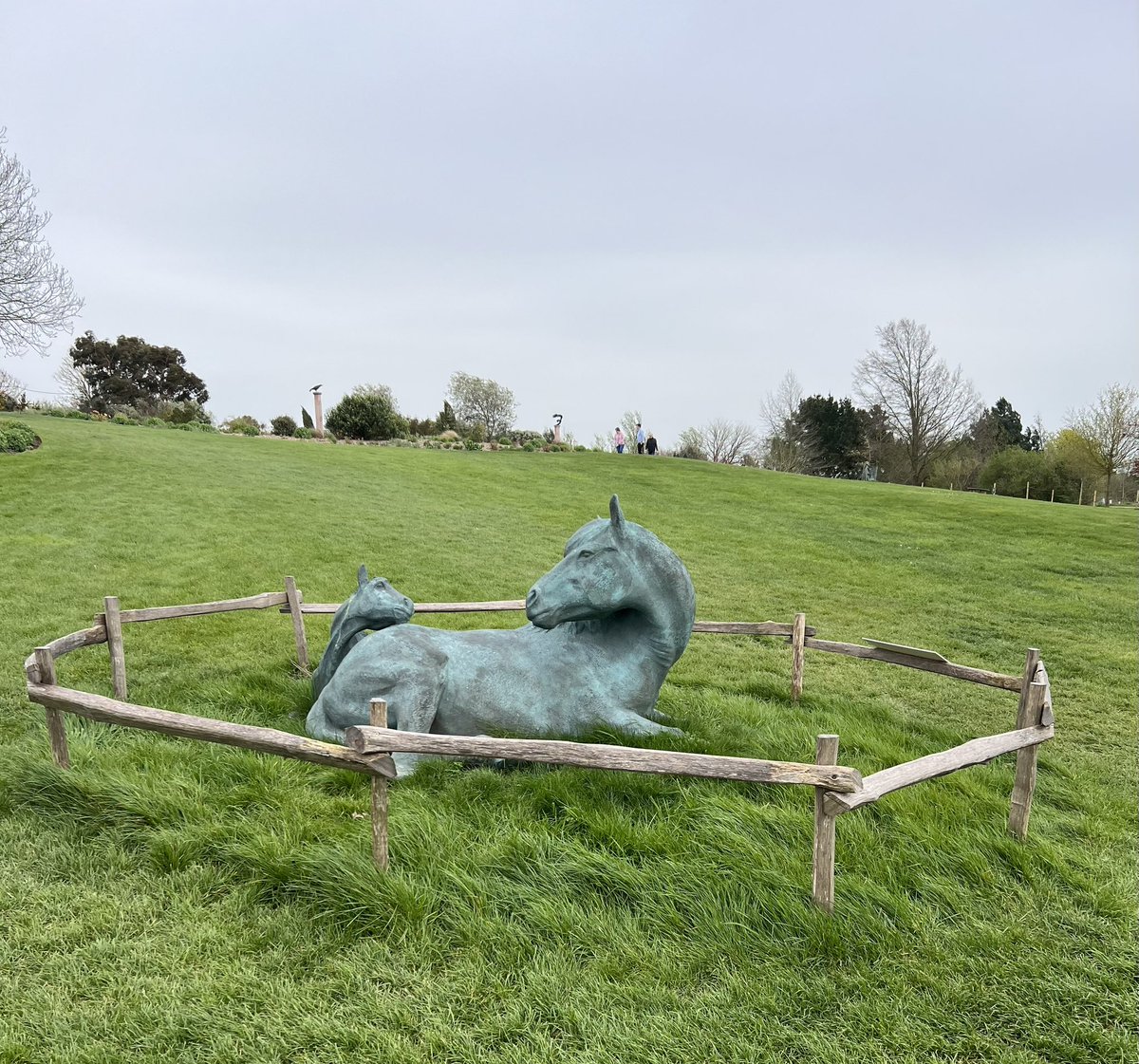 jo spencer Kelvedon and Feering slimming world tweet media