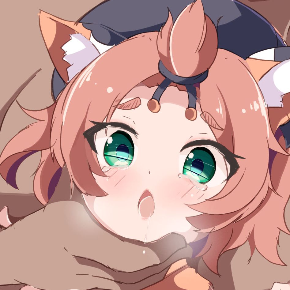 ディオナちゃんをいっぱいつかってみた
