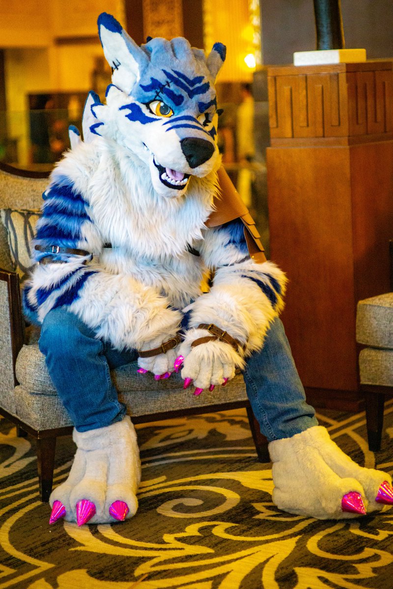 Come and sit down with me :) #Digimon #Weregarurumon #FursuitEveryday