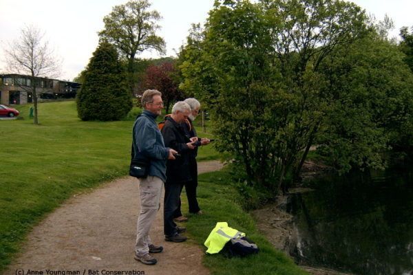 Whether you are a bat-beginner or an expert you are sure to find an event to interest you in our page: buff.ly/3JmhqS4 . Year round the Bat Conservation Trust, local bat groups and others arrange bat events across the UK from training courses to bat walks for families.