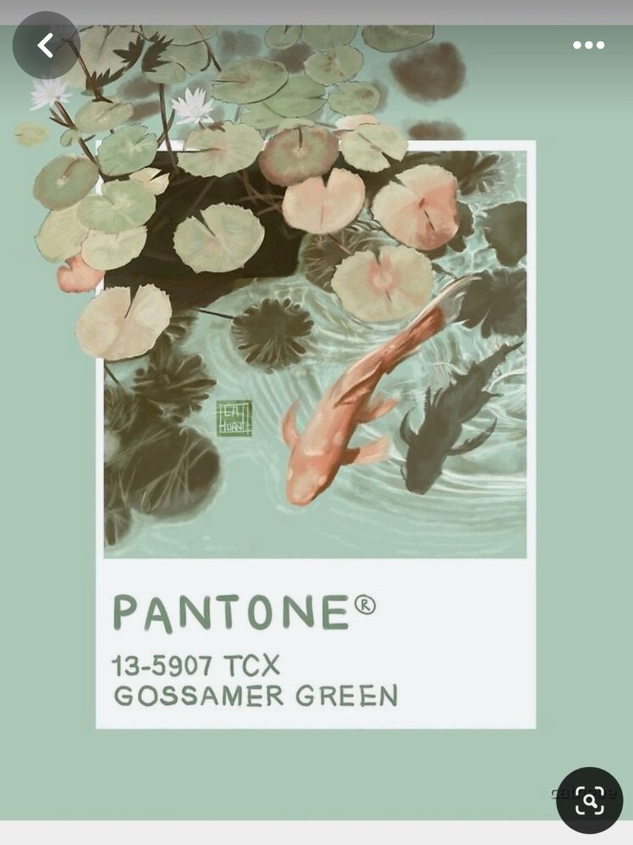 sheepgotohello's tweet image. How does Pinterest see you? Search the categories:
-fashion
-Pantone
-mood
-food

Y&apos;all I can&apos;t even with the mood one