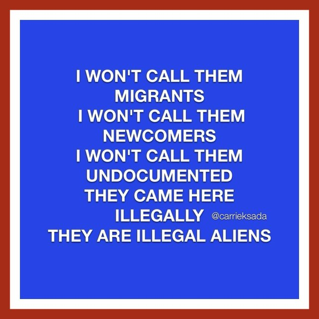 Say The Words: Illegal Aliens