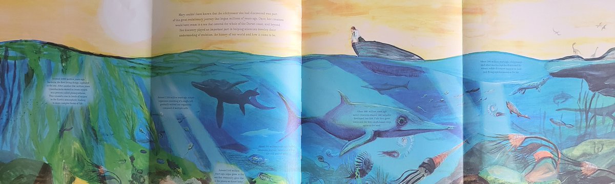 Just spent the afternoon immersed in Mary Anning's world - Wow! #KlausFluggePrize longlistee @KaKatewinter #TheFossilHunter You can tell that this is a work of love & passion. A fusion text blending storytelling with factual narrative and informational spreads.