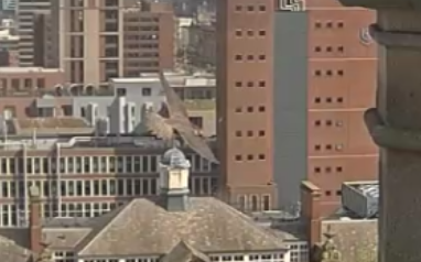 doggie(Alan) tweet media