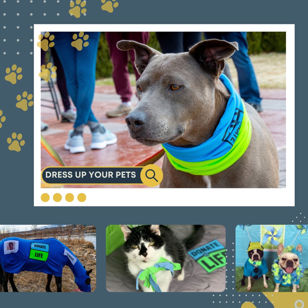 Pets are im-paws-ibly adorable in blue & green! 💙💚 Dress your pets up in blue & green to bring attention to the Donate Life cause. We can't wait to see the cuteness (all pets welcome, not just ones with paws)!