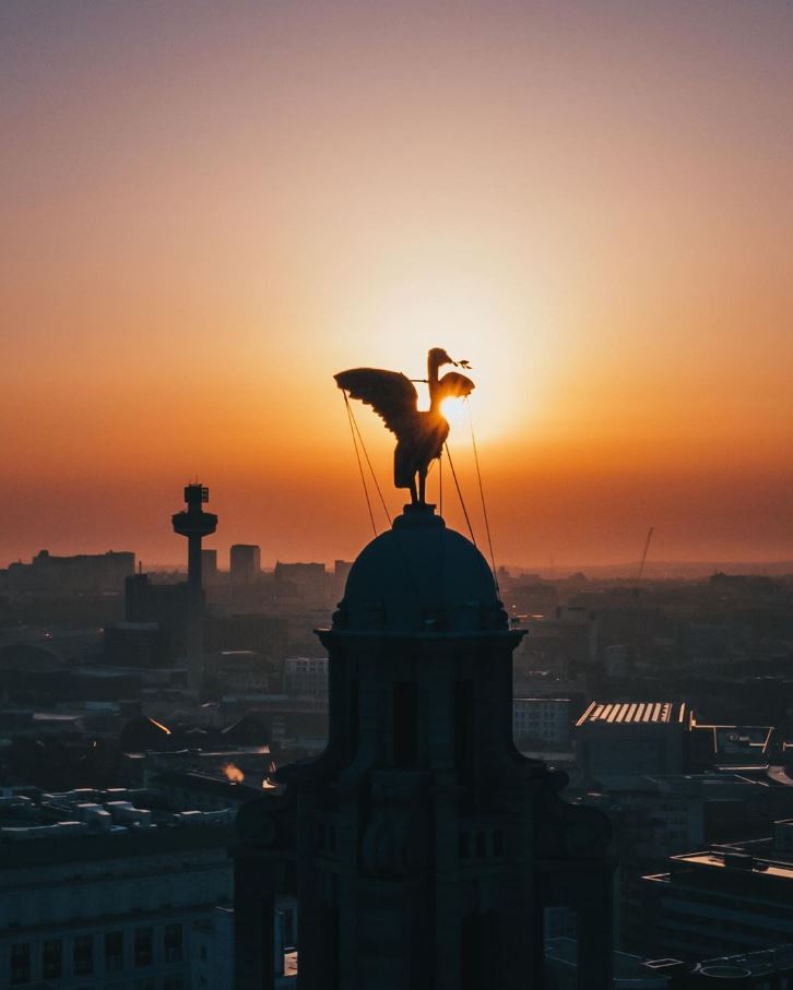 What a great photo of Bella, backlit by an orange sky 🧡 Thank you for the tag, @dl_pixs📸 #rlb360 #tour #thingstodoinliverpool #getabirdseyeview #liverbirds