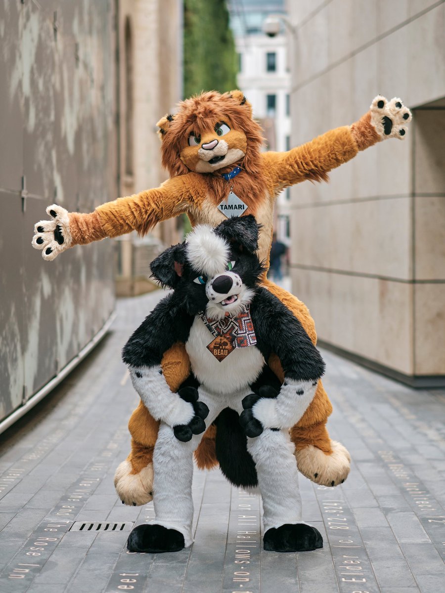 Sometimes you gotta let the lion be big enough to roarrrrrrrr 🤭 📸: @RabbetFace