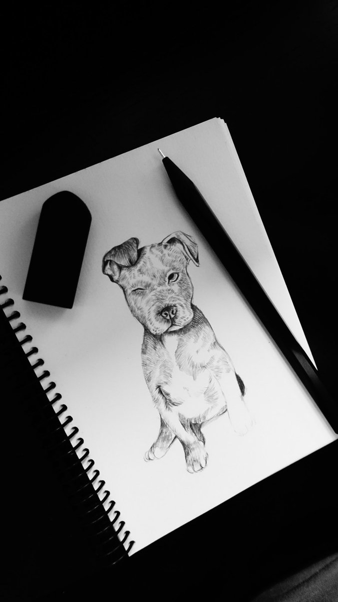 Dog狗 - pencil drawing 鉛筆畫 / by Manchiart / 20240406
. 
.
.
.
.
#狗 #dog #artwork  #sketchbook #畫畫 #畫 #手繪  #sketch #sketching  #art   #draw #drawing  #illustration  #dogdrawing #插圖 #art  #插畫 #素描 #moleskine  #manchiart 
 #graphite  #pencil #pencildrawing  #mood #黑白