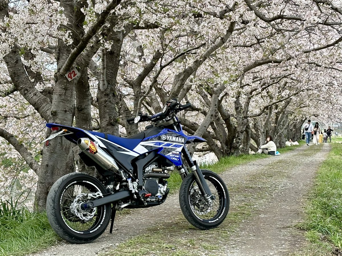 sum_wr250x's tweet photo. WRに乗ってお花見に行きました。 https://t.co/UOGvj7Ar5T