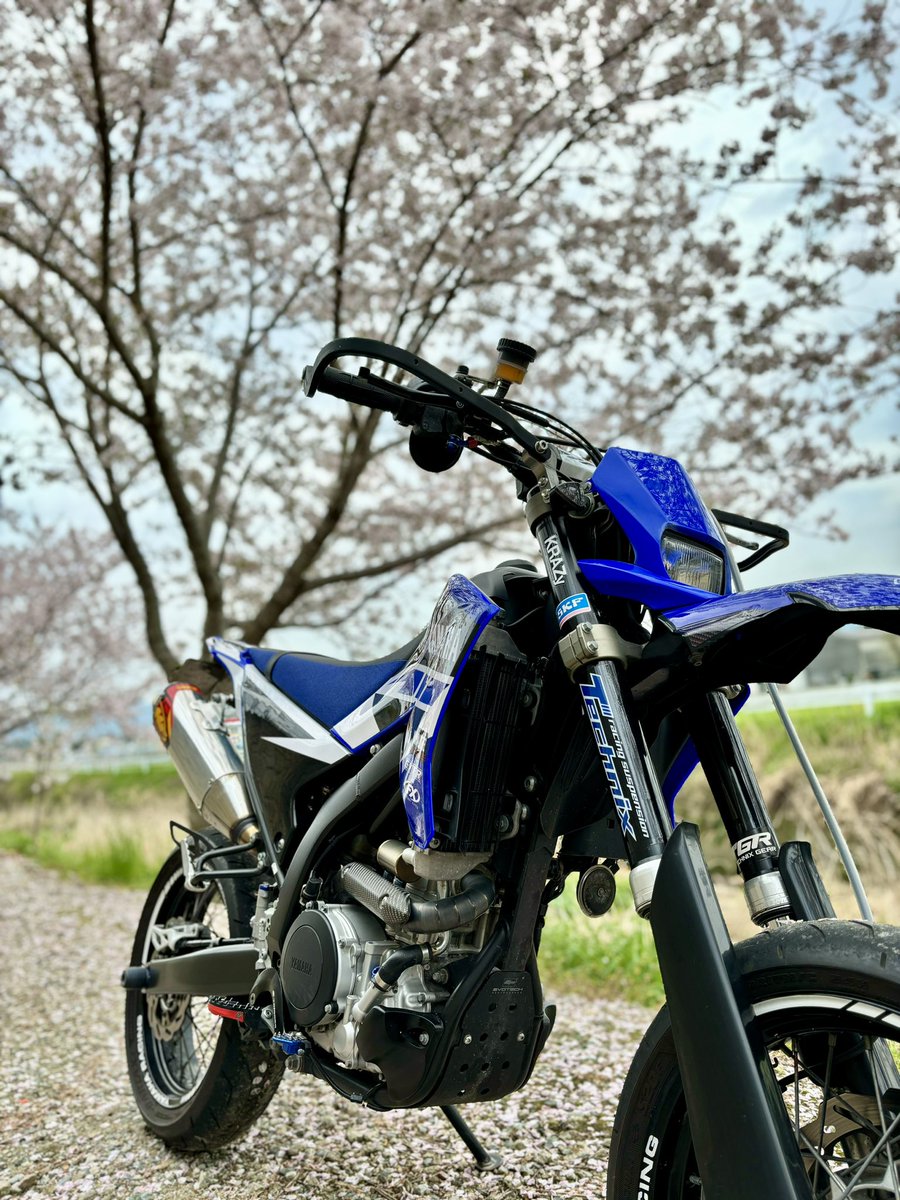 sum_wr250x's tweet photo. WRに乗ってお花見に行きました。 https://t.co/UOGvj7Ar5T