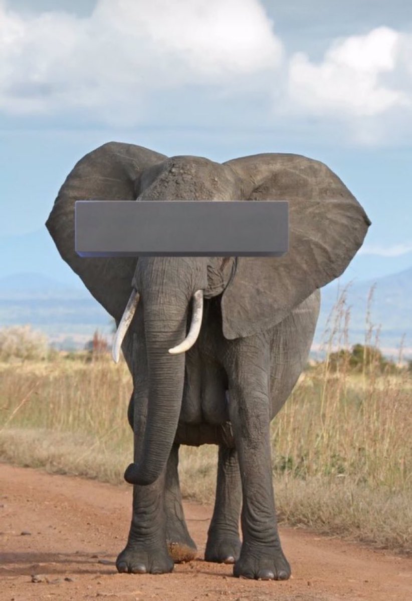 shraddha tweet media