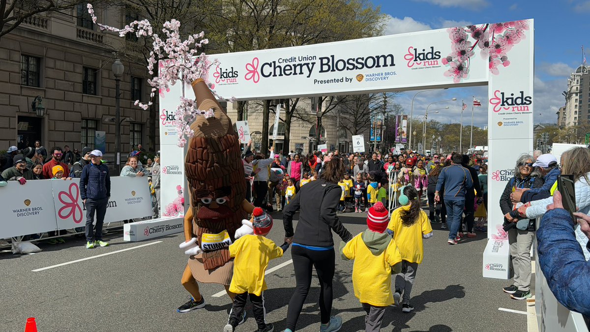 CUCB's tweet image. The #CUCB2024 Kids Run presented by @warnerbros is underway! We ❤️seeing families on the course 🌸🌸