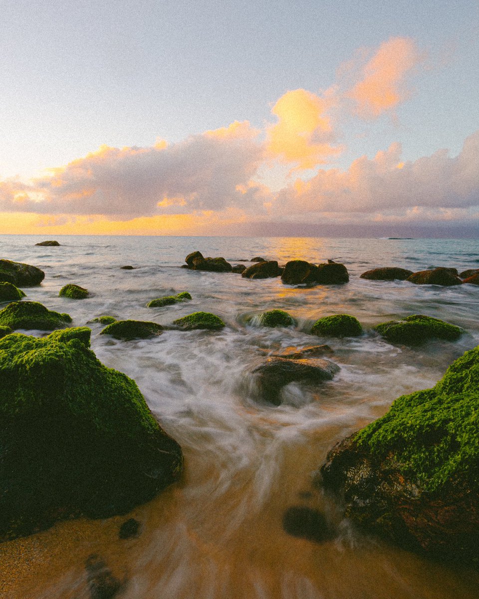 Ryan Warner tweet media