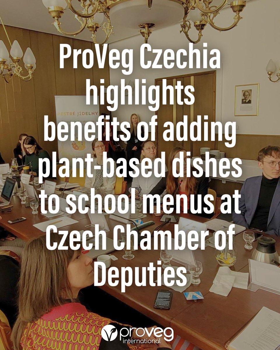A highlight of the #SustainableCanteens project! 🇨🇿 🌱 During a discussion, devoted to revising the Czech ordinance on #SchoolMeals, #ProVeg #Czechia presented the benefits of more #PlantBased foods in schools to improve eating habits – for health & sustainability reasons.