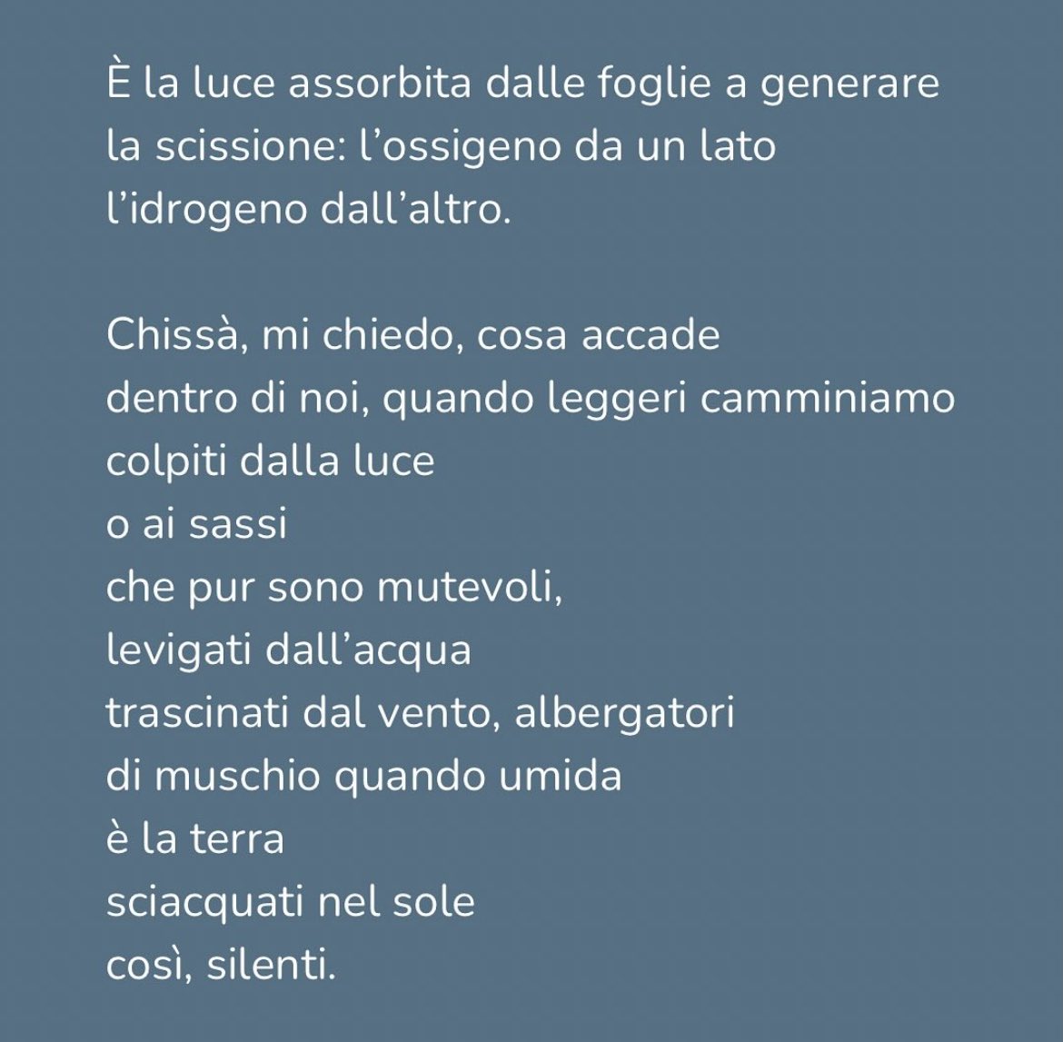 Marco251182's tweet photo. NEL CONCERTO DEL TEMPO
https://t.co/xYz9ry443t
 
#marcopelliccioli #poesia #poetry #poetrycommunity #poetrylovers 
#specchiomondadori #premiostregapoesia #letture #poesiadelgiorno 
#reading #librimondadori #letteratura https://t.co/dxyhPEIy2E
