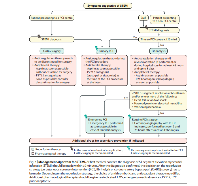 rksanti's tweet photo. 🫀Infarto de miocardio con elevación del segmento ST: Una excelente revisión de Nature 2019💯
✳️Fisiopatología
✳️Diagnóstico
✳️Tratamiento
✳️El infarto de miocardio con elevación del segmento ST (STEMI) es la manifestación más aguda de la enfermedad de las arterias coronarias y https://t.co/gQ6cUaVBGT