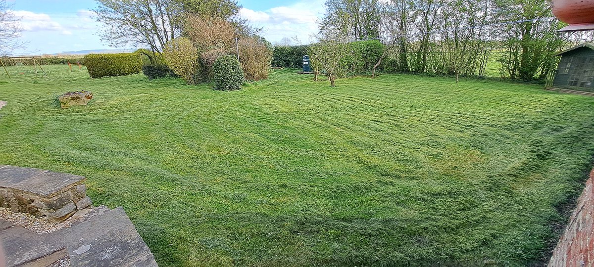 First cut of the year. Lawn mower puffing smoke and getting blocked three times. Let's go #lawn2024 #middleage