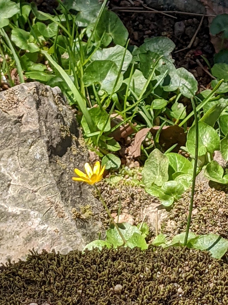 The scent of spring is in the air.