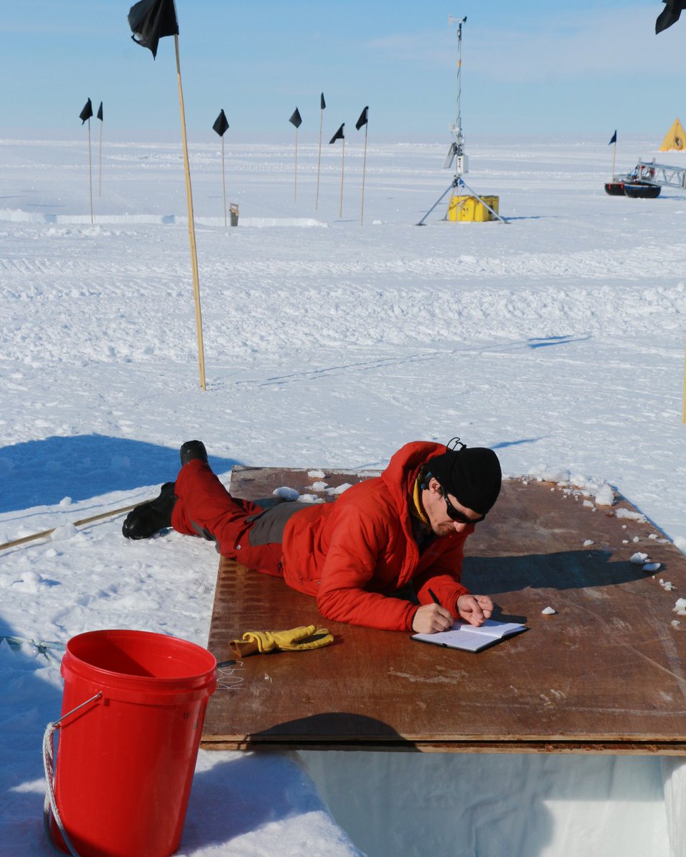 Byrd Center's Alex Michaud, @osuearthscience was part of the @SWAIS2C project's on-ice team of international scientists, extracting the longest sediment core from the remote Siple Coast. Learn more: bit.ly/3U1Gntw Image: Michaud at SWAIS-2C field camp, by Veronika Meduna