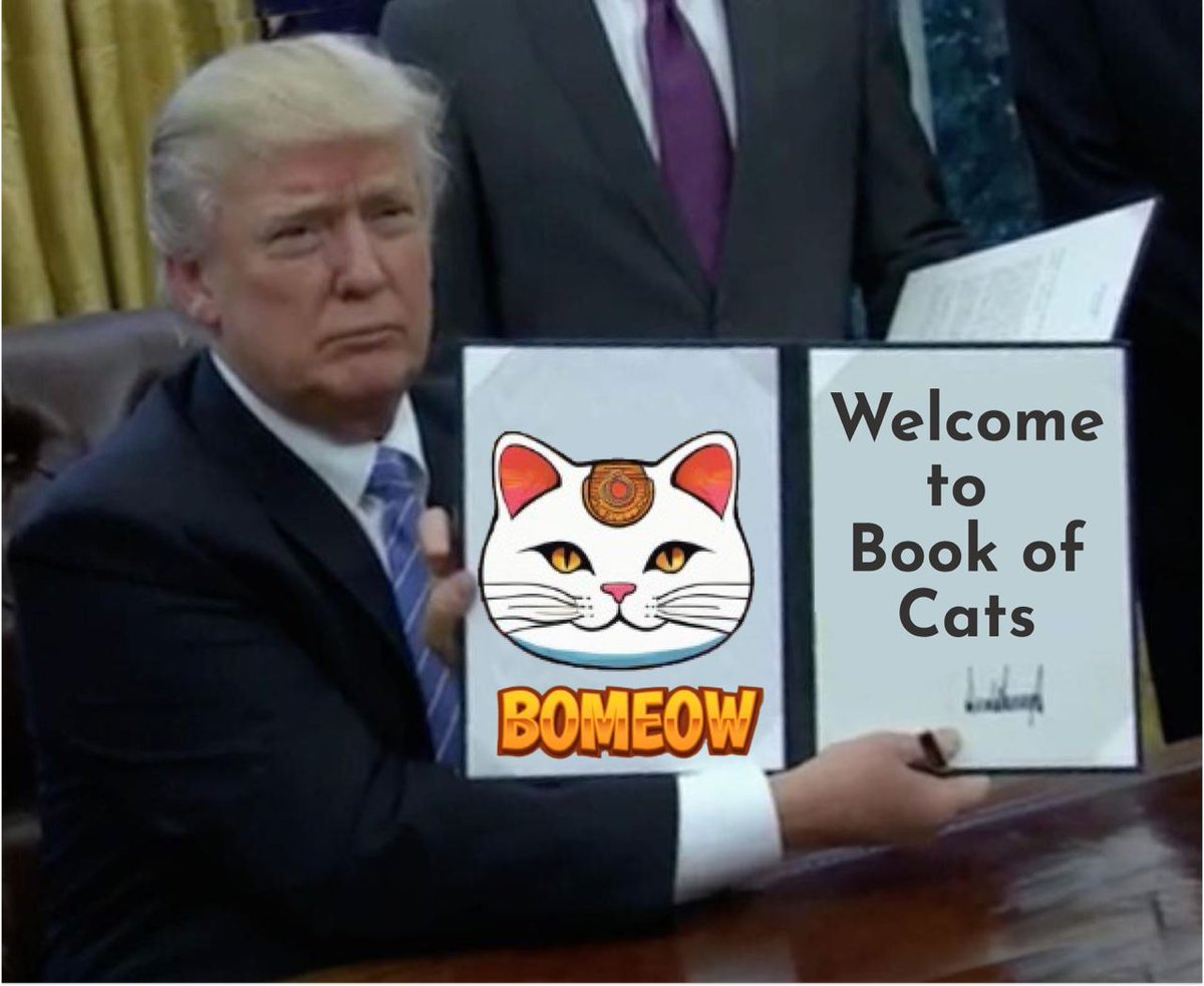 BookOfCats_LOL's tweet photo. @Bomeow_solana congratulations, now you are also in our book of cats memes, soon we will make an NFT with your cat and add your character to the game
MEOW
#MAKECATSGREATAGAIN https://t.co/exQaQ4qhVj