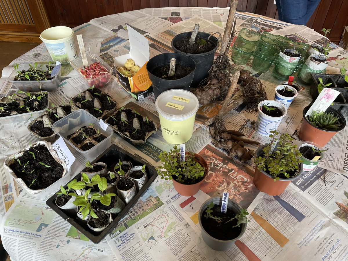 This afternoon’s seed & plant swap in Laxey organised by @LovelyGreens was a lovely event! Lots of enthusiasm for #horticulture and a great chance for @MWT_Ranger and I to inform the community about what @manxnature are doing for #wildlifegardening 🌸🌱🇮🇲