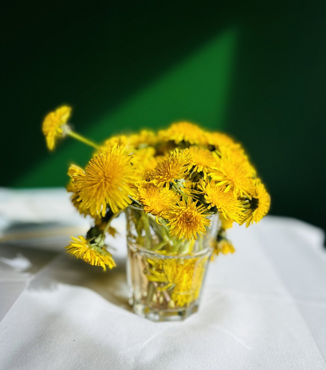 Frühling ☀️🌈