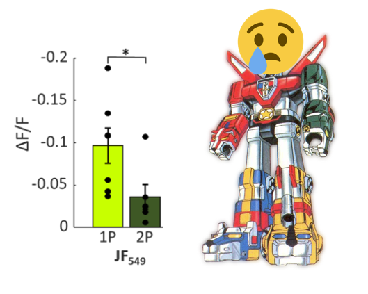 Tim Weber tweet media