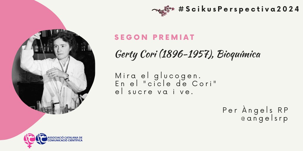 angelsrp's tweet photo. Moltes gràcies, @ACCC_! 😊💜⚗️♀️
#ScikusPerspectiva24
#scikus #ciènciaipoesia
#perspectivadegènere
#ciènciaidones https://t.co/aj3AU51aNk