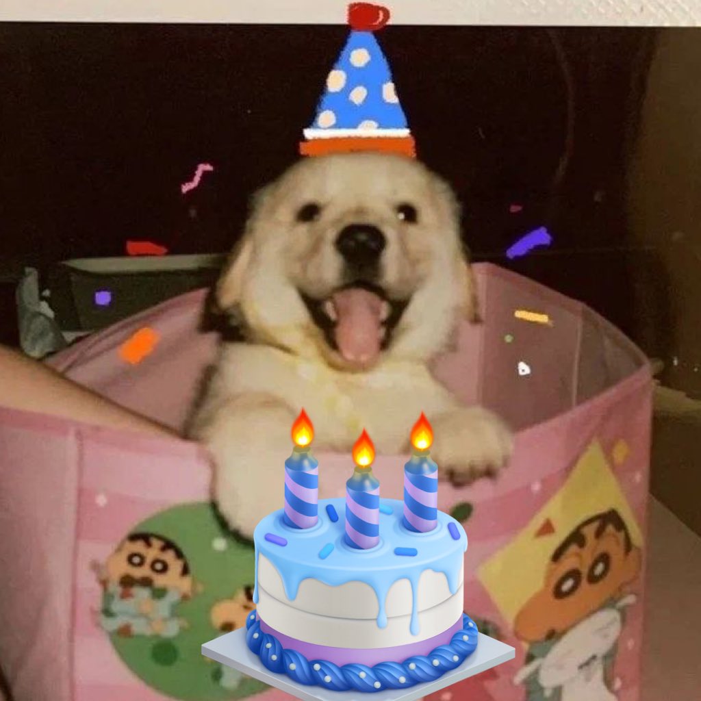 🎂🐶🎂