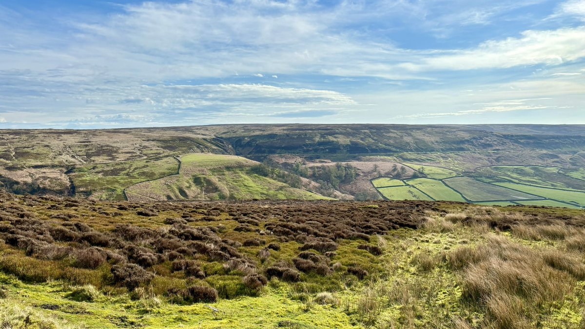 Early morning walk on the North York Moors from Blakey Ridge along the route of the old Rosedale ironstone Railway 🐾🥾🥾 Amazing scenery and interesting history 🌟🌟 @NorthYorkMoors