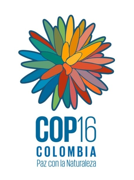 Desde Cali Colombia, Octubre 2024 COP16 serémos mundial por la Biodiversidad. Muchos saludos rueda a rueda 🚵‍♀️🚵‍♂️🚴‍♂️🚴‍♀️ #elmundoruedaxseñal #cali #paisvasco @SenalColombia @SenalDeportes